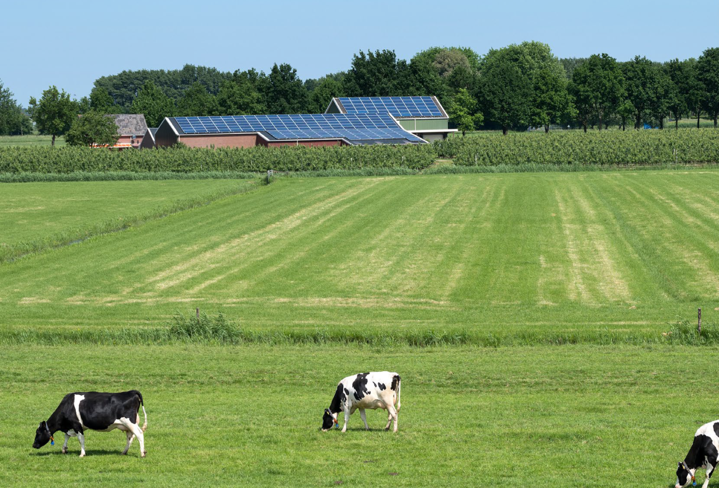 Solcelle i landbruket